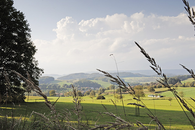 Odenwald